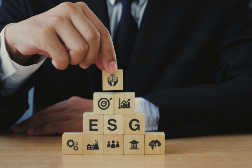 Jak zostać specjalistą ESG? Kariera w obszarze raportowania ESG i zr&oacute;wnoważonego rozwoju